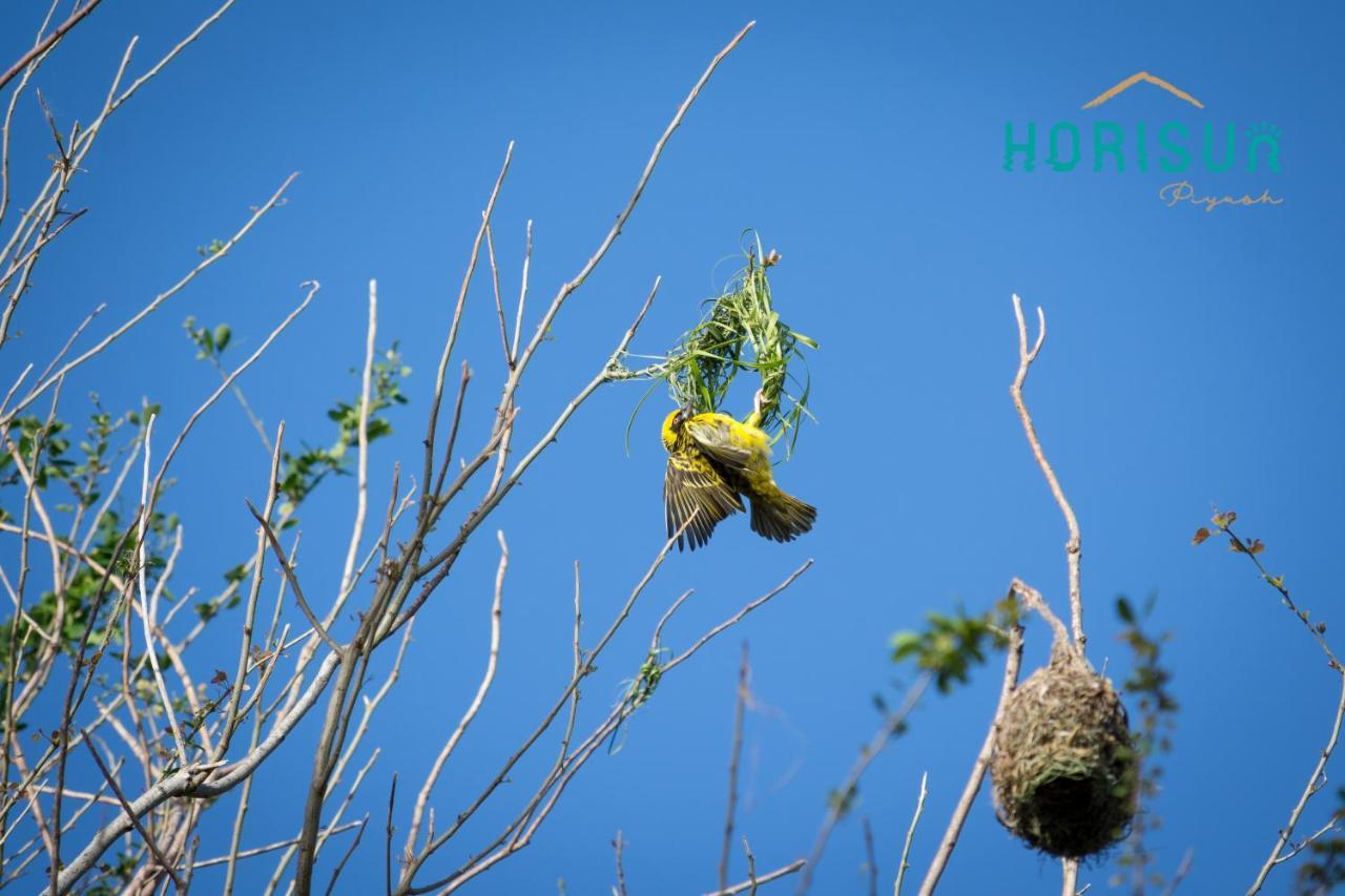 Horisun Homestay